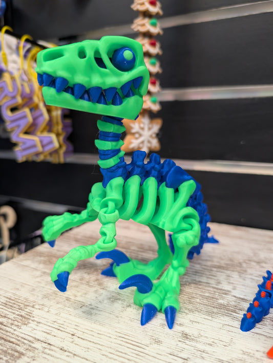 Skeleton Raptor (Multi-Color)